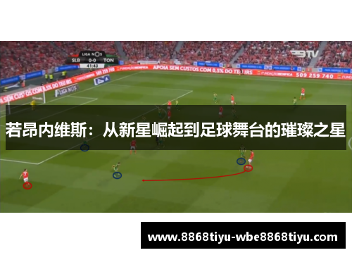 若昂内维斯：从新星崛起到足球舞台的璀璨之星
